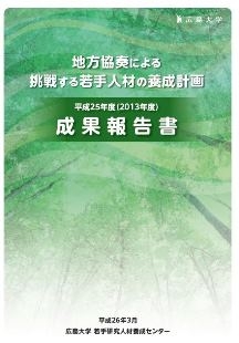 平成25年度（2013年度）成果報告書 表紙画像