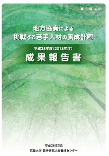 平成25年度（2013年度）成果報告書 表紙画像