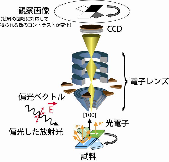 図２(a) ： 光電子顕微鏡装置、直線偏光放射光を用いて反強磁性体の微小磁気構造を調べる実験の模式図