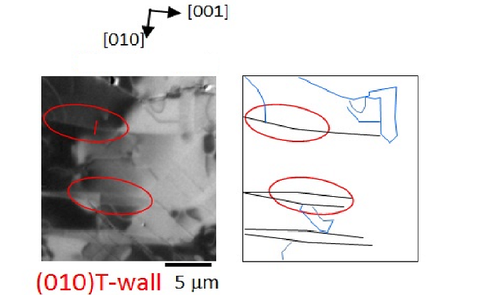 図２(b）： ｛001｝T-wall※５と呼ばれる酸化ニッケルに存在する磁壁の種類のうちの一つ（図４(a)参照）を光電子顕微鏡で観察した像及びその模式図。