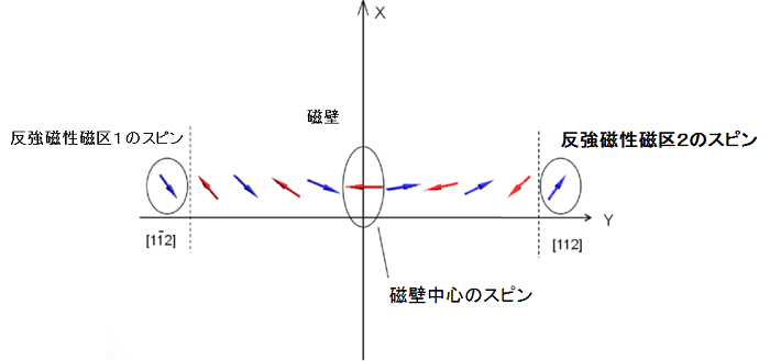 (b) 解析の結果得られた{001}T-wall内で回転しているスピンの様子の模式図（（001）面への投影