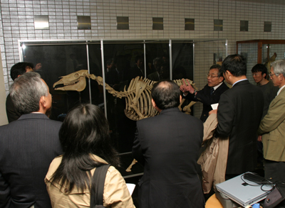 道産子骨格標本の前で説明を受ける参加者