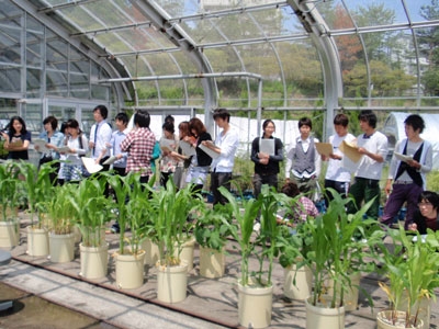 植物栄養生理学実験実習