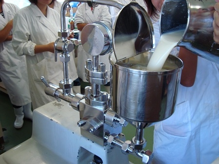 乳製品製造の実験実習