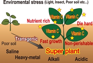 スーパー植物の作出