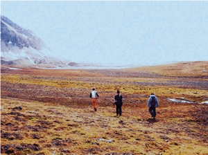 Glacier foreland in the High Arctic, Svalbard