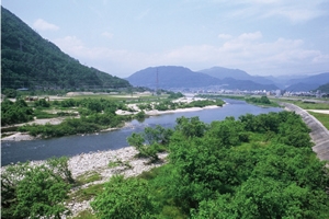 Riparian vegetation supplies organic carbon to river water