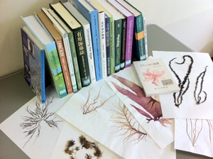 Taxonomic resources including herbarium specimens and literature