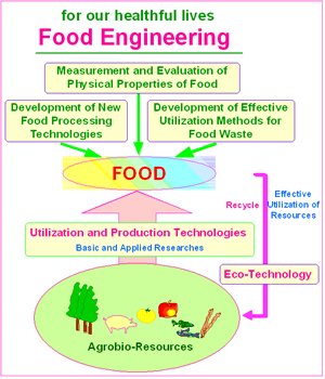 Food engineering