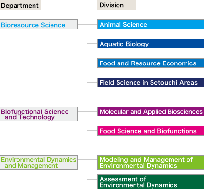 department & division