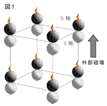 図1:外部磁場で磁気双極子が誘起される様子