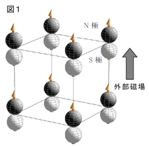 図1：外部磁場で磁気双極子が誘起される様子