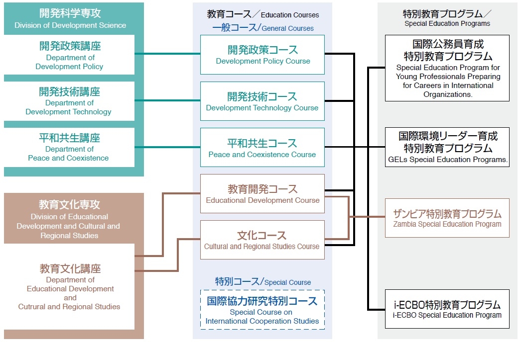 organization