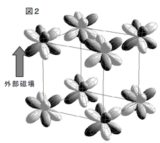 図2:外部磁場で磁気八極子が誘起される様子