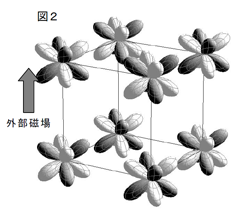 図2：外部磁場で磁気八極子が誘起される様子