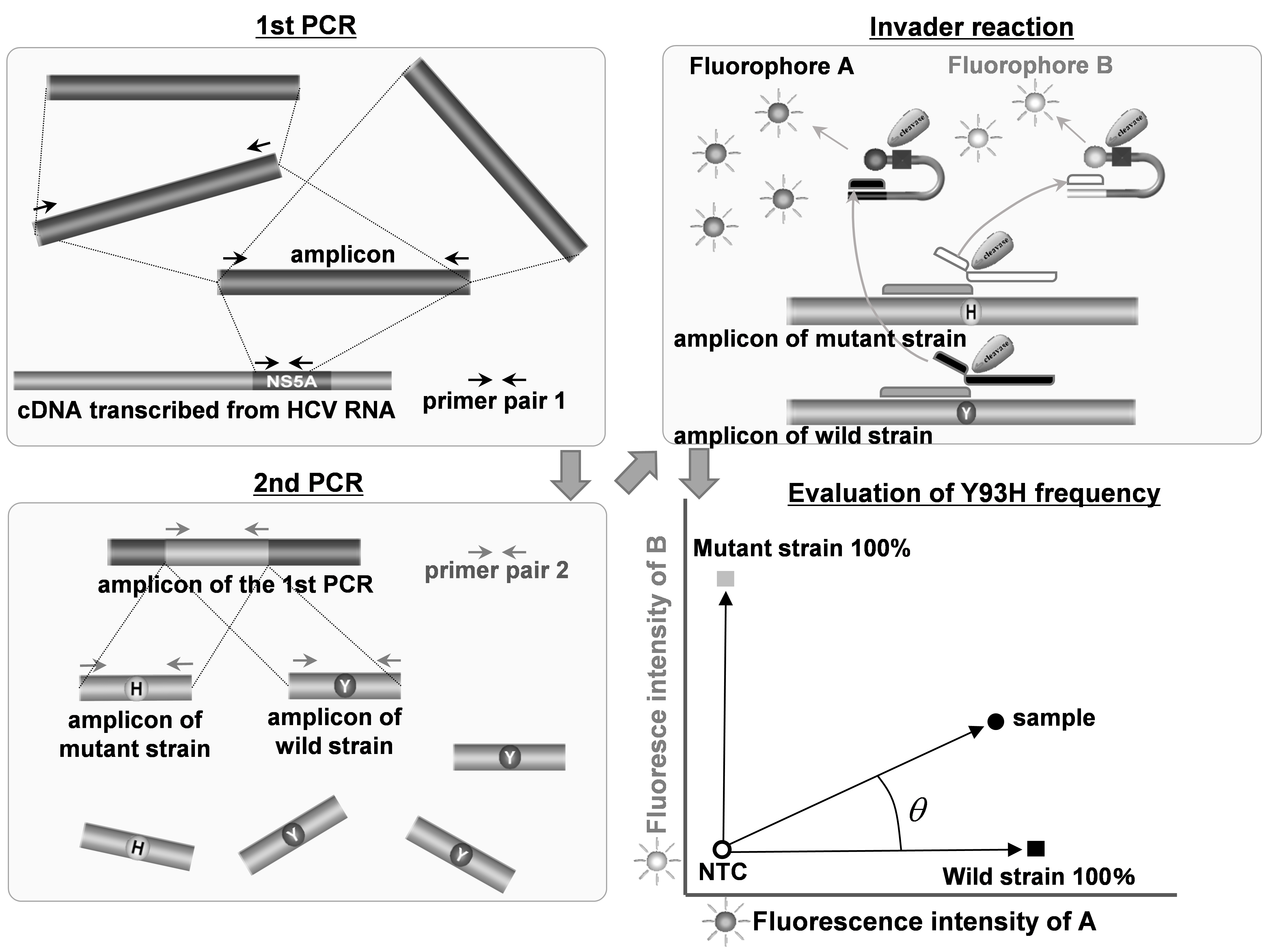 Schematic flow diagram representing a method of nested-PCR followed by Invader