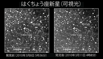 図 2:はくちょう座V407の発見直前の画像(左)と発見画像(右)