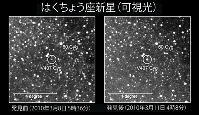 図 2：はくちょう座V407の発見直前の画像（左）と発見画像（右）