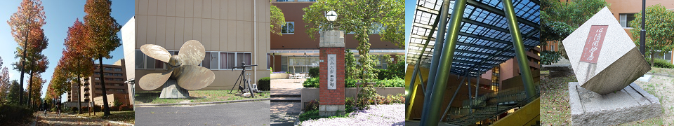 研究 広島大学