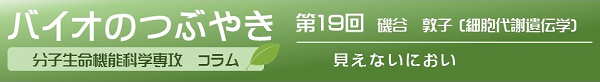 バイオのつぶやき第18回磯谷敦子客員准教授「見えないにおい」