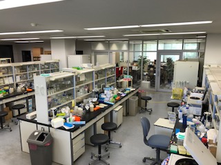 休日の研究室