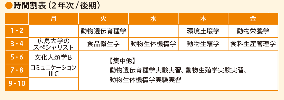 時間割