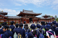 修学旅行(平等院鳳凰堂)