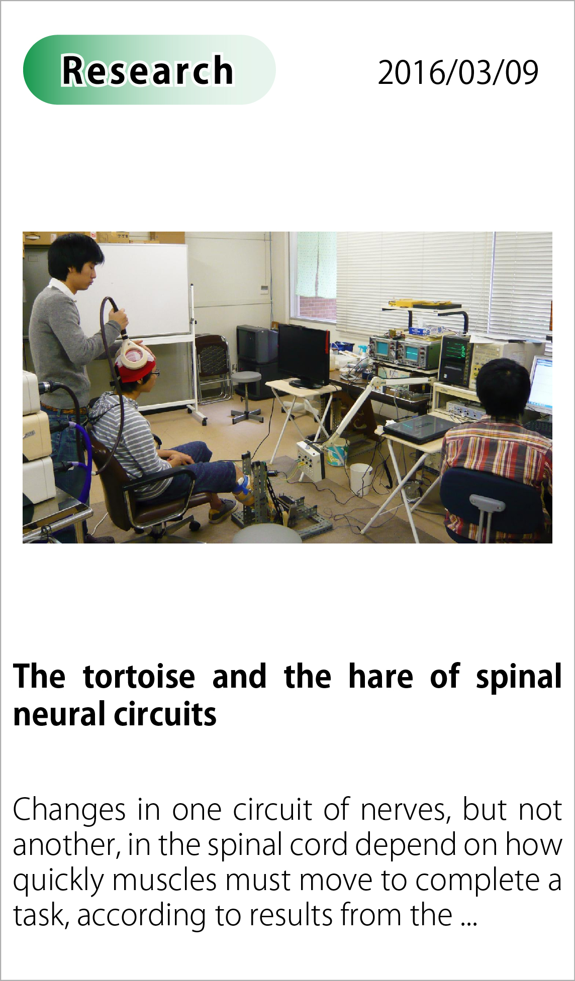The tortoise and the hare of spinal neural circuits