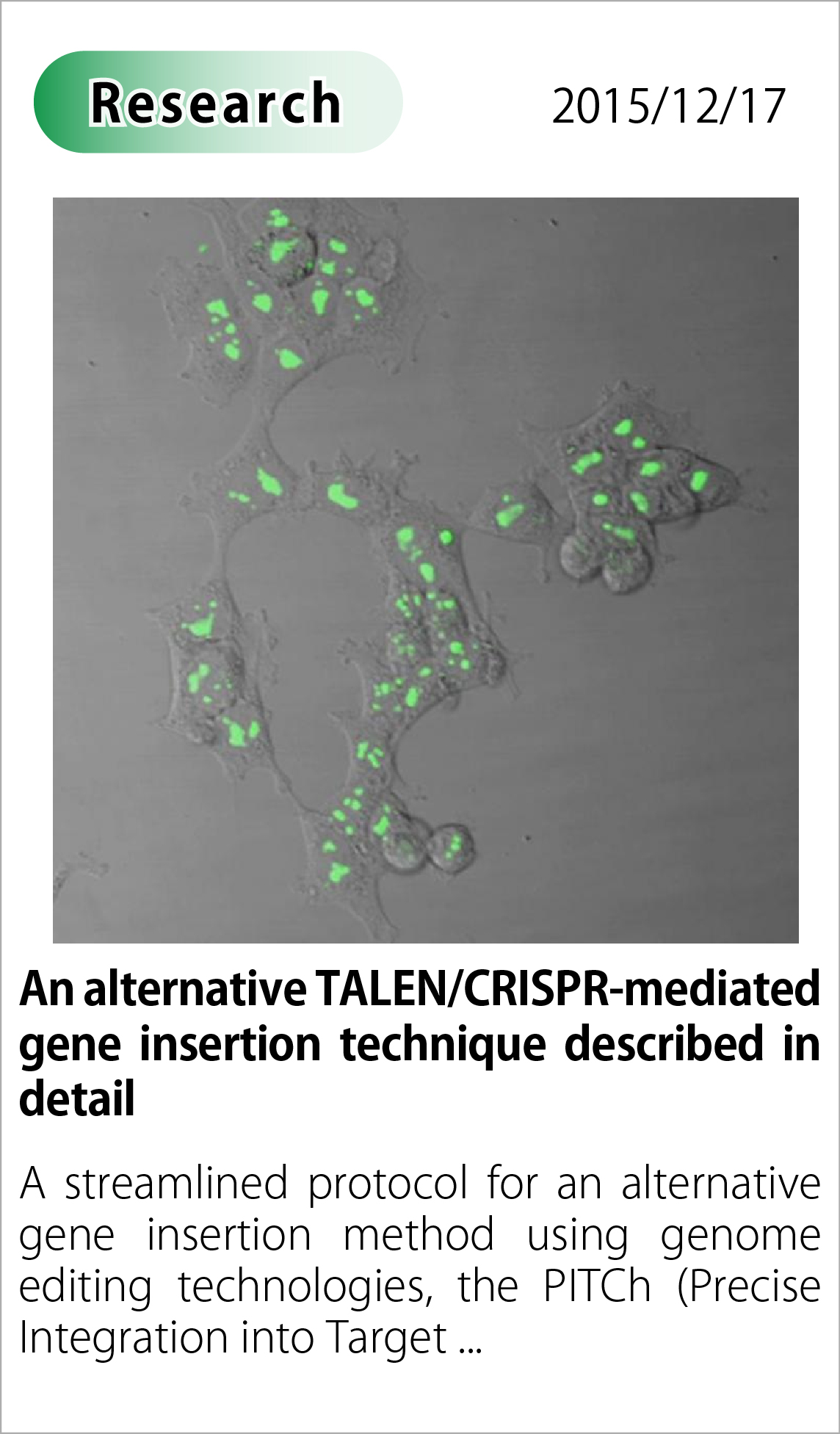 An alternative TALEN/CRISPR-mediated gene insertion technique described in detail