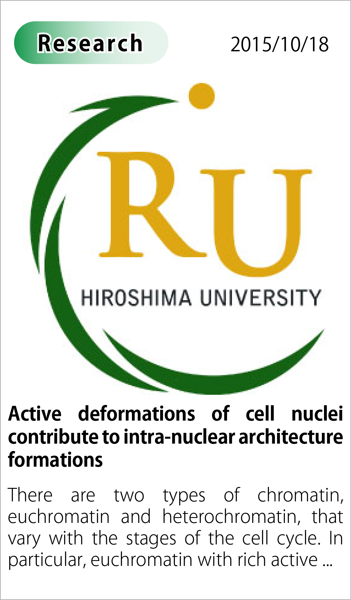 Active deformations of cell nuclei contribute to intra-nuclear architecture formations