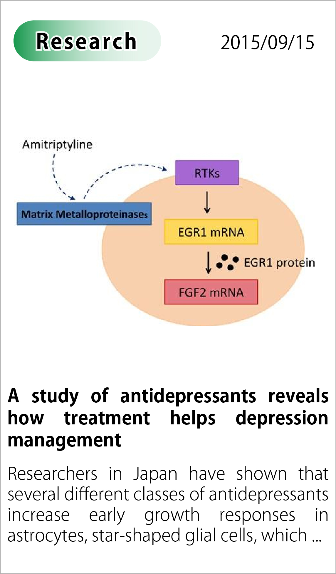 A study of antidepressants reveals how treatment helps depression management
