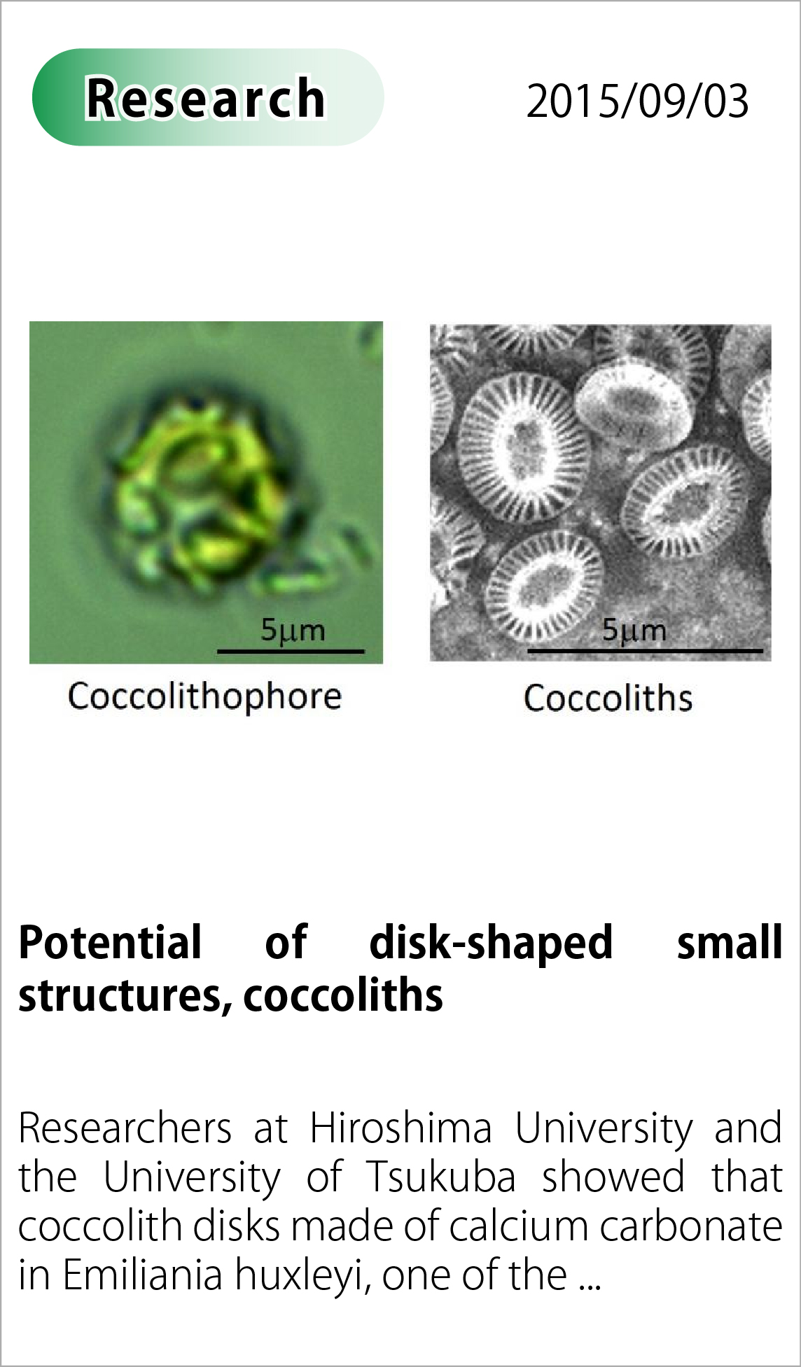 Potential of disk-shaped small structures, coccoliths