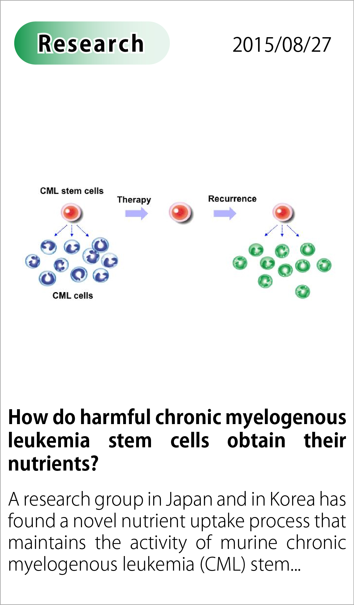 How do harmful chronic myelogenous leukemia stem cells obtain their nutrients?