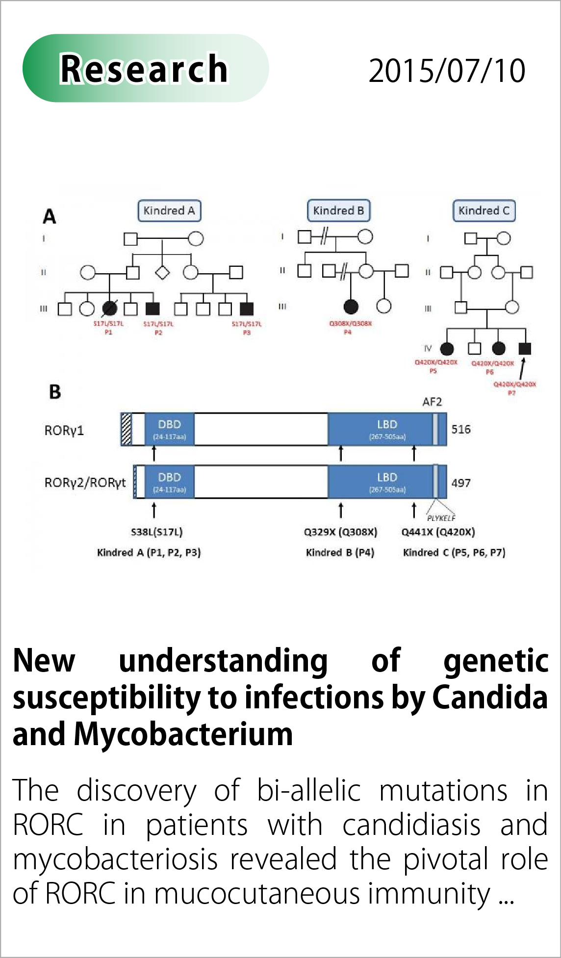 New understanding of genetic susceptibility to infections by Candida and Mycobacterium