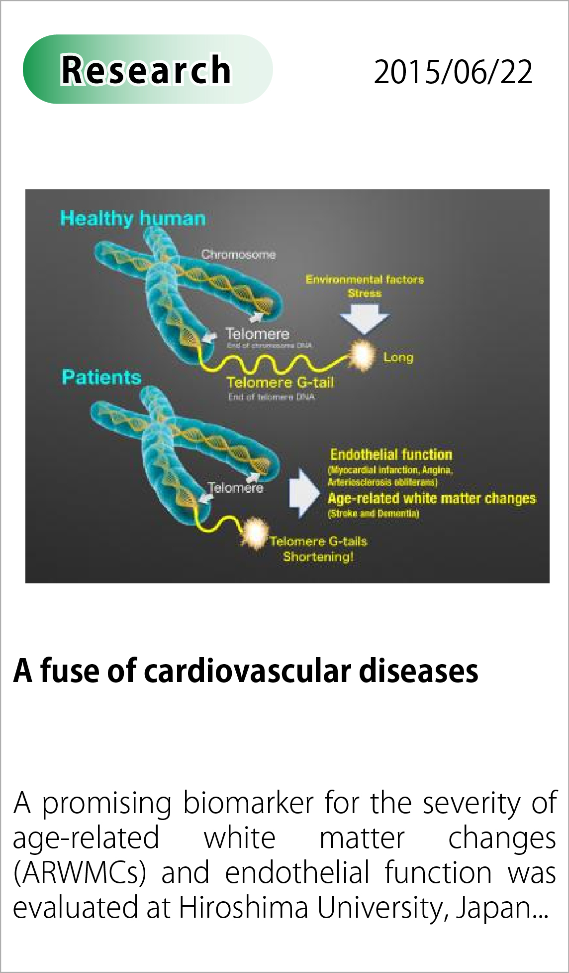 A fuse of cardiovascular diseases