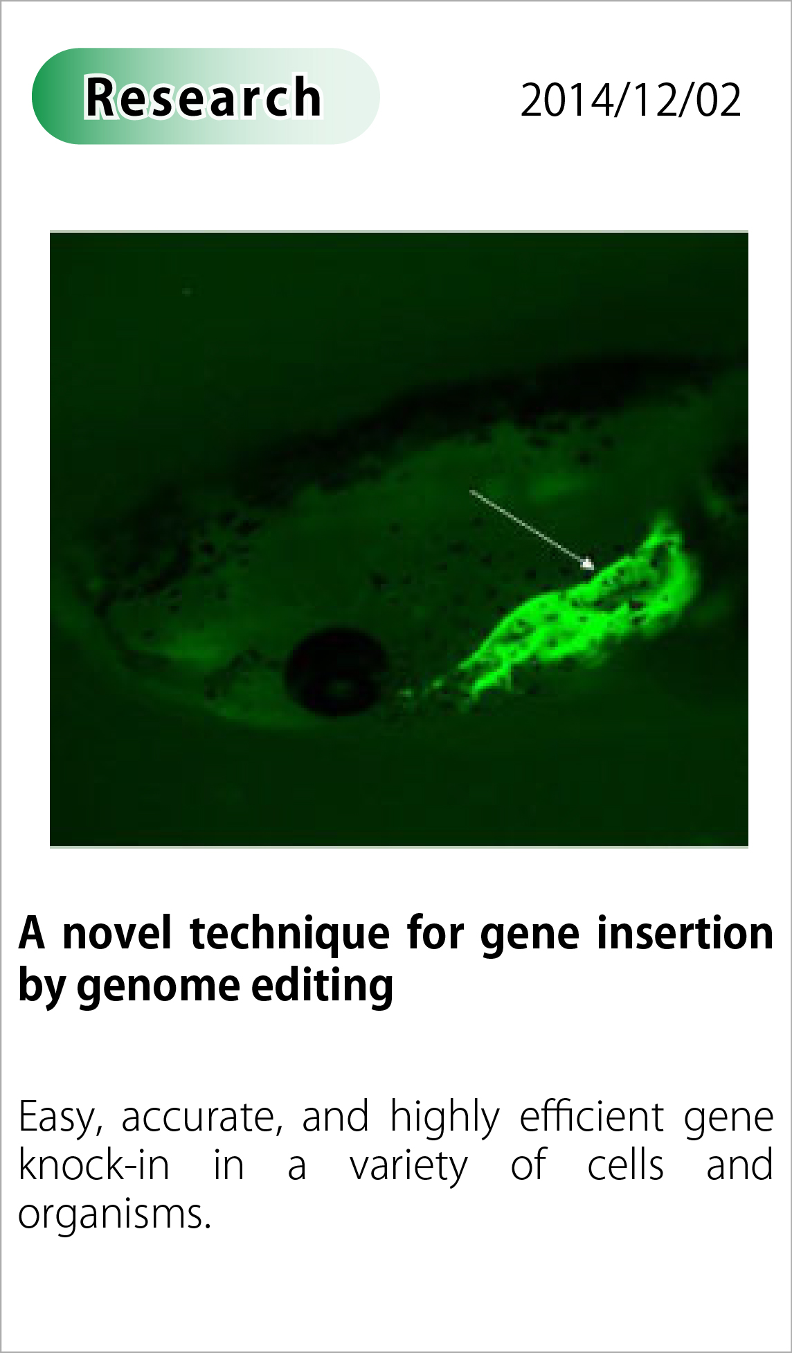 A novel technique for gene insertion by genome editing