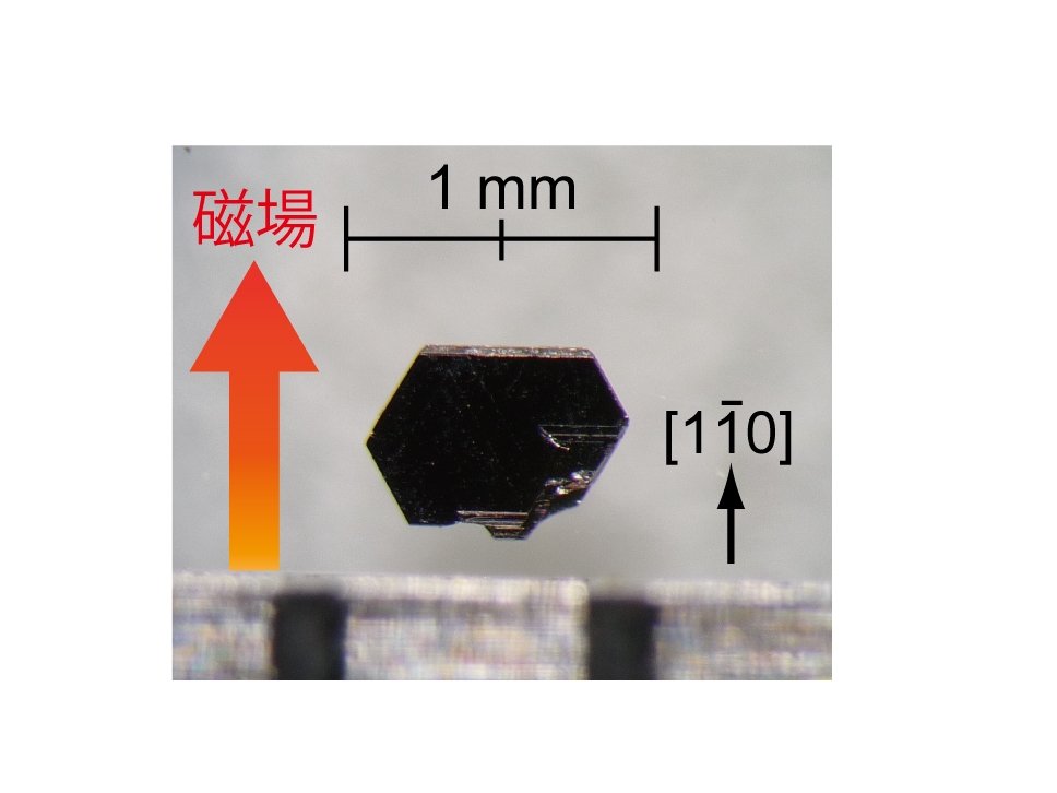 図2. PdCoO2の単結晶の写真