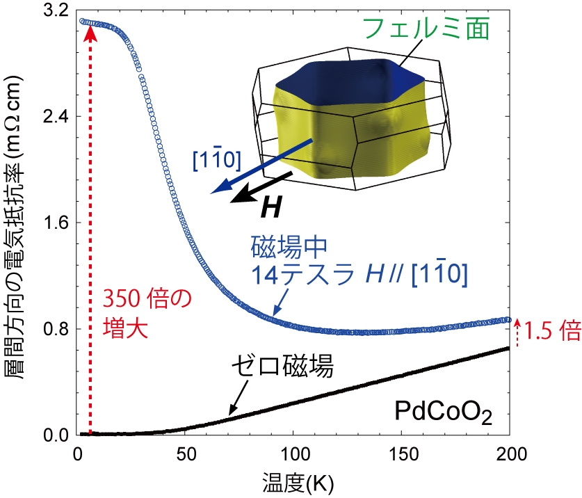 図3. PdCoO2の単結晶の磁場中電気抵抗の温度依存性