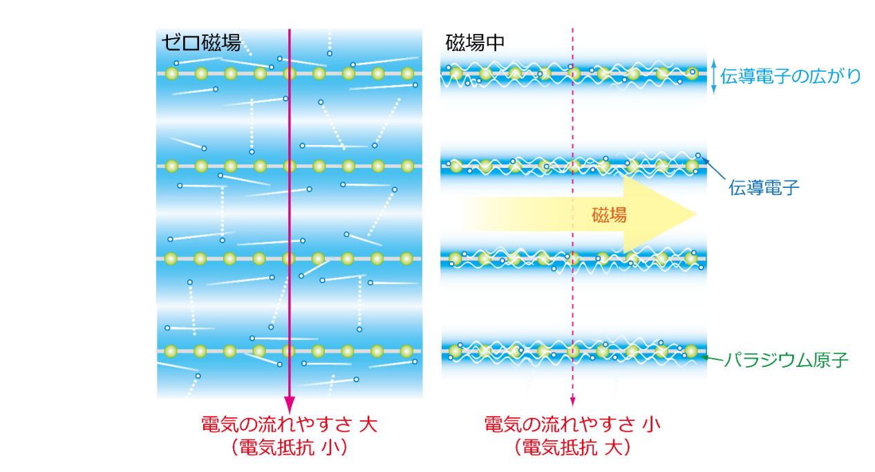 図4. 本成果で発見された巨大な磁気抵抗効果のメカニズムの模式図