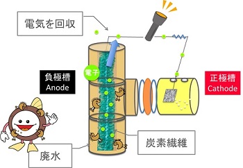 研究紹介 未来のリサイクルのカタチ 微生物燃料電池 の開発 微生物の力で 廃水から電気を生み出す 広島大学