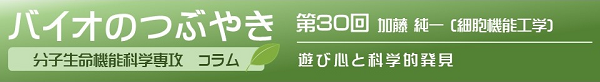 第30回加藤純一教授「遊び心と科学的発見」 第30回加藤純一教授「遊び心と科学的発見」
