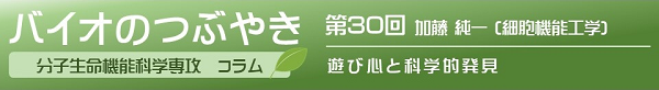 第30回加藤純一教授「遊び心と科学的発見」