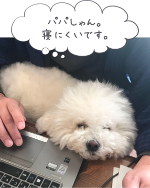 カール君 カール君