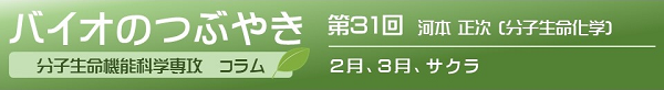 第31回河本正次教授 第31回河本正次教授「2月、3月、サクラ」