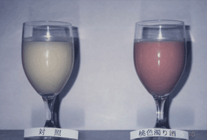 Cloudy sake