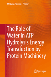 The Role of Water in ATP Hydrolysis Energy Transduction by Protein Machinery